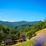 Na Samote U Lesa Revuca