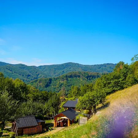 Na Samote U Lesa Revuca