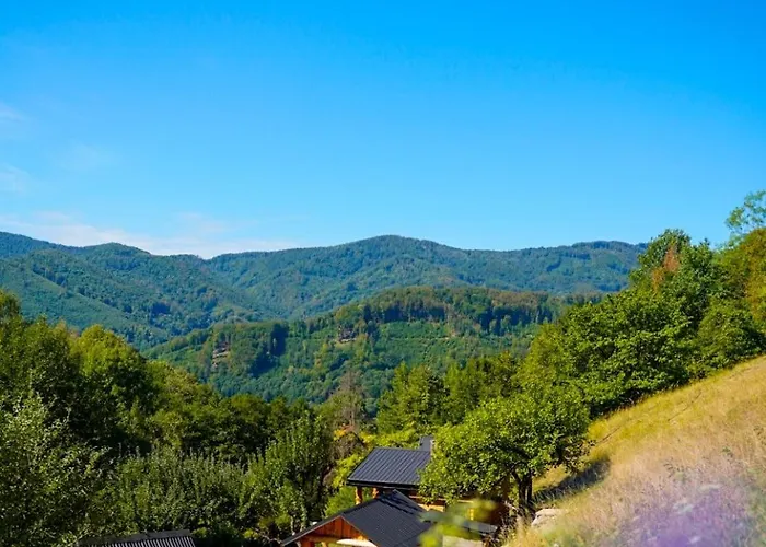 Na Samote U Lesa Revúca