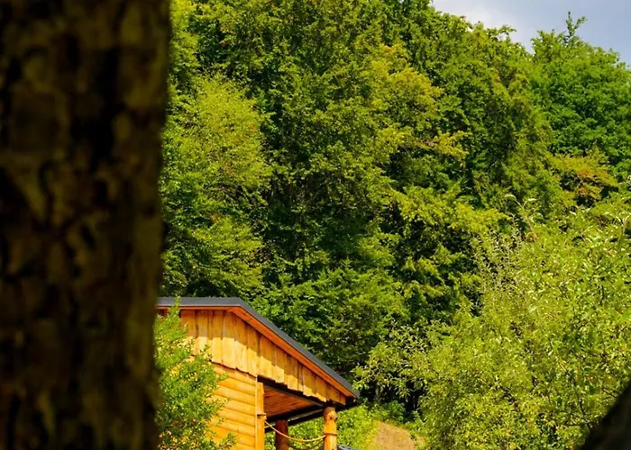 Orman Evi Na Samote U Lesa Revúca