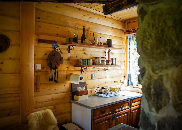 Orman Evi Na Samote U Lesa