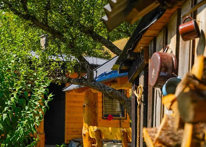 Na Samote U Lesa Orman Evi Revúca