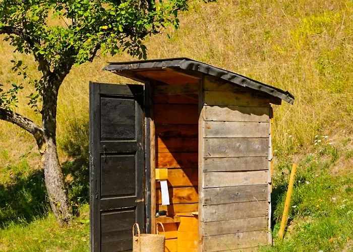 Orman Evi Na Samote U Lesa *