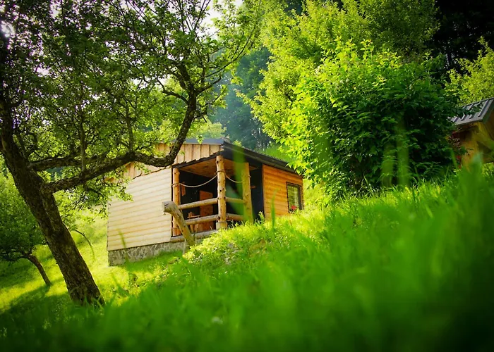 Na Samote U Lesa Orman Evi